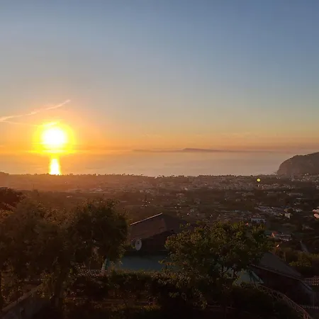 Buckingam Sorrento