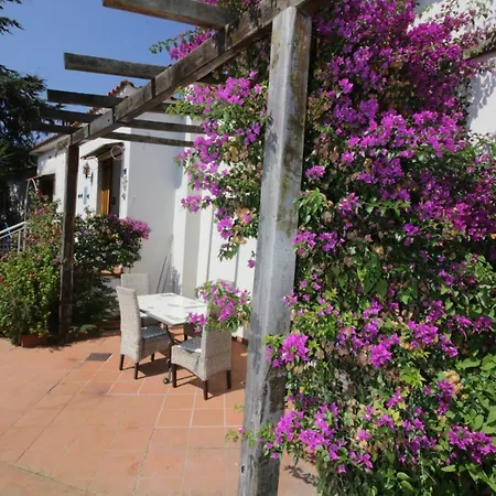 Buckingam Sorrento
